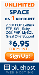 Bluehost Banner