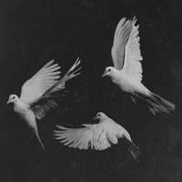 https://www.rockitpro.com/wp-content/uploads/restinpeace.jpg